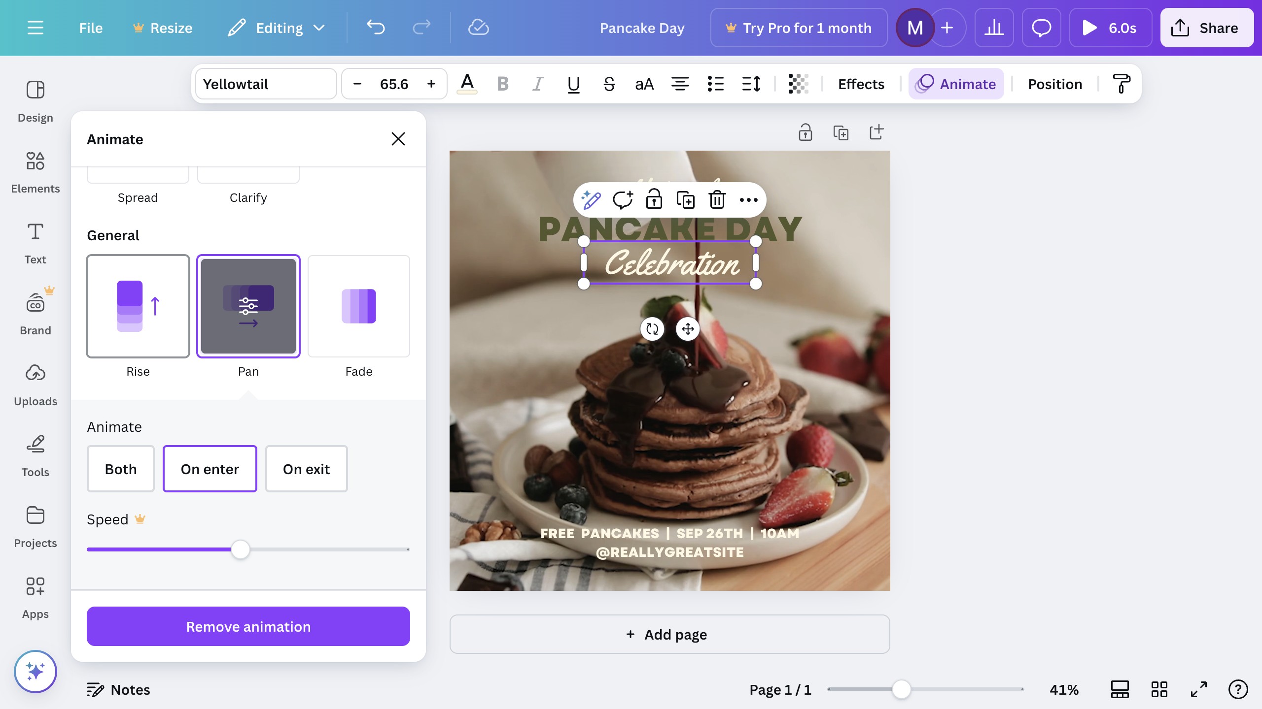 Canva animation panel showing style options