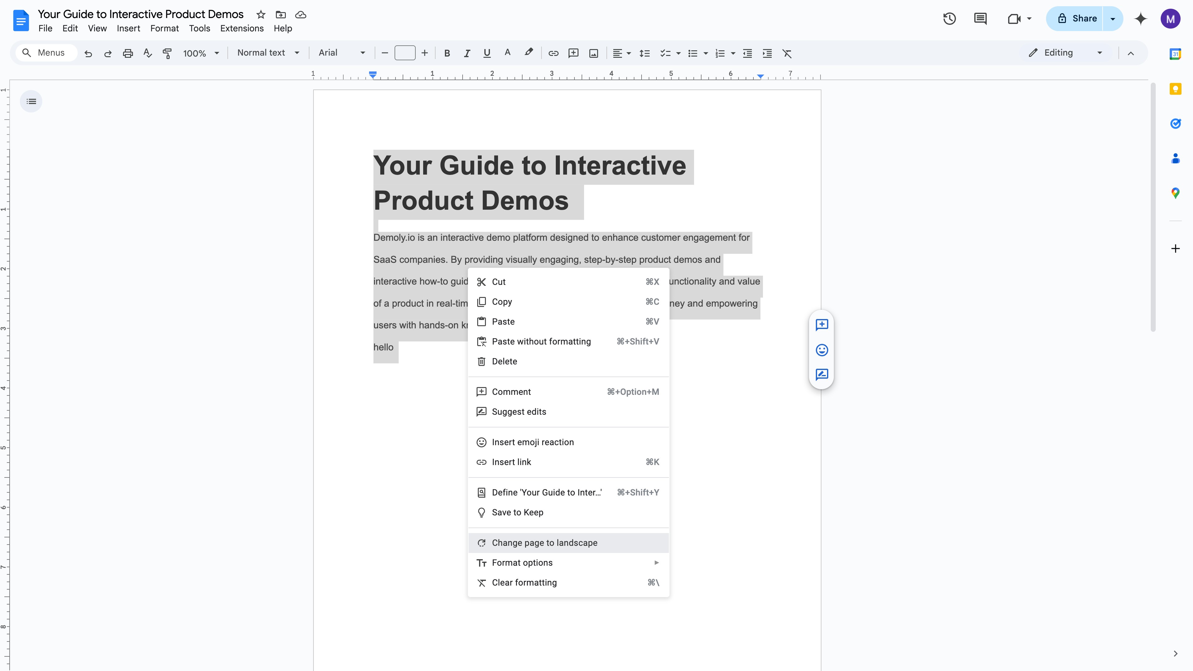 Google Docs with a second section break inserted
